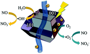 Graphical abstract: CNTs threaded (001) exposed TiO2 with high activity in photocatalytic NO oxidation
