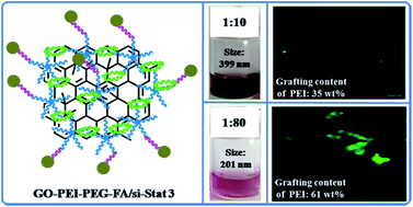 Graphical abstract: Multi-functionalized graphene oxide complex as a plasmid delivery system for targeting hepatocellular carcinoma therapy