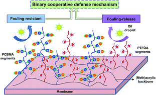 Graphical abstract: Enhanced oil-fouling resistance of poly(ether sulfone) membranes by incorporation of novel amphiphilic zwitterionic copolymers