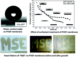 Graphical abstract: Development of a process for generating three-dimensional microbial patterns amenable for engineering use