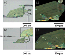 Graphical abstract: Bottom-up on-crystal in-chip formation of a conducting salt and a view of its restructuring: from organic insulator to conducting “switch” through microfluidic manipulation