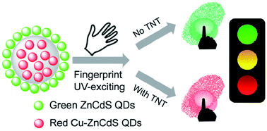 Graphical abstract: Dual-emitting quantum dot nanohybrid for imaging of latent fingerprints: simultaneous identification of individuals and traffic light-type visualization of TNT