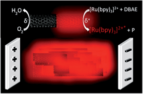 Graphical abstract: 3D electrogenerated chemiluminescence: from surface-confined reactions to bulk emission