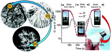 Graphical abstract: Supramolecular association of 2D alumino-siloxane aquagel building blocks to 3D porous cages and its efficacy for topical and injectable delivery of fluconazole, an antifungal drug