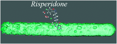 Graphical abstract: Modified chitosan coated mesoporous strontium hydroxyapatite nanorods as drug carriers