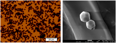 Graphical abstract: Copper(i)oxide microparticles – synthesis and antimicrobial finishing of textiles