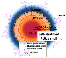 Graphical abstract: Multifunctionalized polyurethane–polyurea nanoparticles: hydrophobically driven self-stratification at the o/w interface modulates encapsulation stability