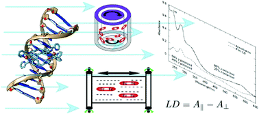 Graphical abstract: Linear dichroism as a probe of molecular structure and interactions