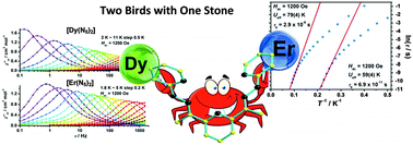 Graphical abstract: Lanthanoid single-ion magnets with the LnN10 coordination geometry