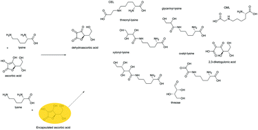 Graphical abstract: Encapsulation of ascorbic acid promotes the reduction of Maillard reaction products in UHT milk