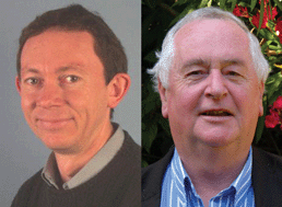 Graphical abstract: Dietary polysaccharides and polyphenols can promote health by influencing gut microbiota populations