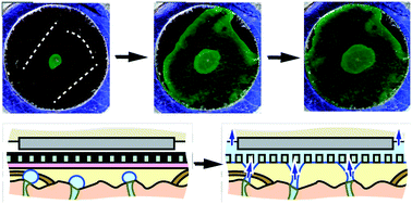 Graphical abstract: A new oil/membrane approach for integrated sweat sampling and sensing: sample volumes reduced from μL's to nL's and reduction of analyte contamination from skin