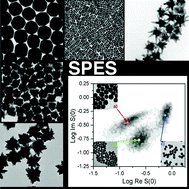 Graphical abstract: Detecting the shape of anisotropic gold nanoparticles in dispersion with single particle extinction and scattering