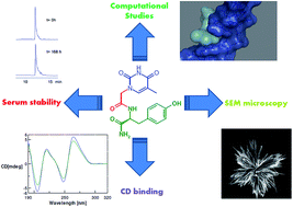 Graphical abstract: Solid phase synthesis of TyrT, a thymine–tyrosine conjugate with poly(A) RNA-binding ability