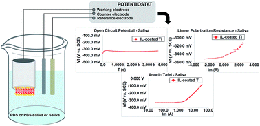 Graphical abstract: Improvement of tribological and anti-corrosive performance of titanium surfaces coated with dicationic imidazolium-based ionic liquids