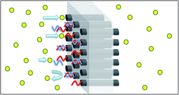Graphical abstract: Reversible gating of ion transport through DNA-functionalized carbon nanotube membranes