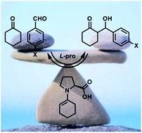 Graphical abstract: Kinetics versus thermodynamics in the proline catalyzed aldol reaction