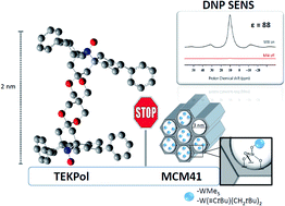 Graphical abstract: Reactive surface organometallic complexes observed using dynamic nuclear polarization surface enhanced NMR spectroscopy