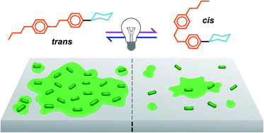 Graphical abstract: Photomodulation of bacterial growth and biofilm formation using carbohydrate-based surfactants