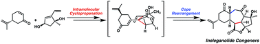 Graphical abstract: Enantioselective, convergent synthesis of the ineleganolide core by a tandem annulation cascade
