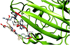 Graphical abstract: Label-free detection of fibrinogen based on the fibrinogen-enhanced peroxidase activity of a fibrinogen–hemin composite