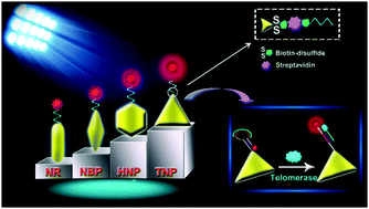 Graphical abstract: A comparative study of plasmonic-enhanced single-molecule fluorescence induced by gold nanoantennas and its application for illuminating telomerase