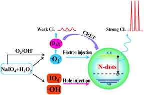 Graphical abstract: Ultra-weak chemiluminescence enhanced by facilely synthesized nitrogen-rich quantum dots through chemiluminescence resonance energy transfer and electron hole injection