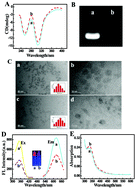 Graphical abstract: TTE DNA–Cu NPs: enhanced fluorescence and application in a target DNA triggered dual-cycle amplification biosensor