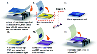Graphical abstract: Metal-assisted exfoliation of few-layer black phosphorus with high yield