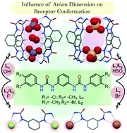 Graphical abstract: Fixation of atmospheric CO2 as novel carbonate–(water)2–carbonate cluster and entrapment of double sulfate within a linear tetrameric barrel of a neutral bis-urea scaffold