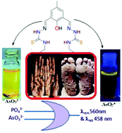 Graphical abstract: A hydrazine-based thiocarbamide probe for colorimetric and turn-on fluorometric detection of PO43− and AsO33− in semi-aqueous medium