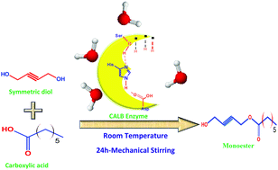 Graphical abstract: Enzymatic monoesterification of symmetric diols: restriction of molecular conformations influences selectivity