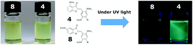 Graphical abstract: Fluorescence properties of aurone derivatives: an experimental and theoretical study with some preliminary biological applications