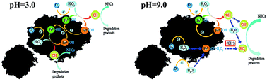 Graphical abstract: Three-dimensional electro-Fenton oxidation of N-heterocyclic compounds with a novel catalytic particle electrode: high activity, wide pH range and catalytic mechanism