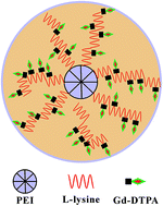 Graphical abstract: Gadolinium-conjugated star-block copolymer polylysine-modified polyethylenimine as high-performance T1 MR imaging blood pool contrast agents