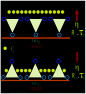 Graphical abstract: A detailed evaluation of charge recombination dynamics in dye solar cells based on starburst triphenylamine dyes