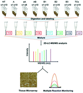 Graphical abstract: Diagnosis of thymic epithelial tumor subtypes by a quantitative proteomic approach