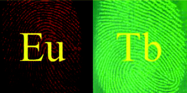 Graphical abstract: Harnessing volatile luminescent lanthanide complexes to visualise latent fingermarks on nonporous surfaces