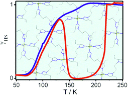 Graphical abstract: Double spin transition in a two dimensional Fe(ii) coordination network