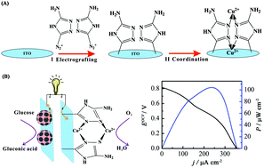 Graphical abstract: High-performance non-enzymatic biofuel cells based on an organic copper complex cathode and a nanoporous gold nanoparticle anode