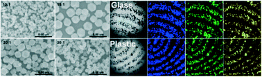 Graphical abstract: Carbon dots for promoting the growth of ZIF-8 crystals to obtain fluorescent powders and their application for latent fingerprint imaging