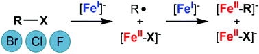 Graphical abstract: C-Halide bond cleavage by a two-coordinate iron(i) complex