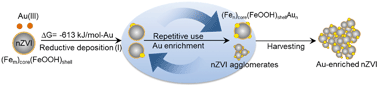 Graphical abstract: Recovery of gold from wastewater using nanoscale zero-valent iron