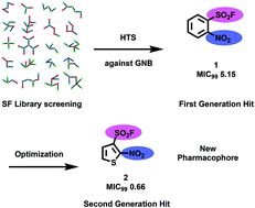 Graphical abstract: Nitro sulfonyl fluorides are a new pharmacophore for the development of antibiotics