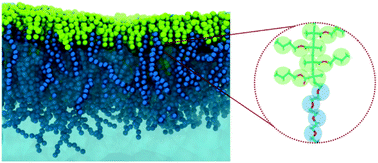 Graphical abstract: Transferable coarse-grained MARTINI model for methacrylate-based copolymers