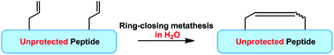 Graphical abstract: Ring-closing metathesis of unprotected peptides in water