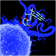 Graphical abstract: C-Glycosylation in platinum-based agents: a viable strategy to improve cytotoxicity and selectivity