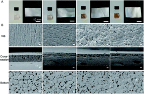 Graphical abstract: Janus N,N-dimethylformamide as a solvent for a gradient porous wound dressing of poly(vinylidene fluoride) and as a reducer for in situ nano-silver production: anti-permeation, antibacterial and antifouling activities against multi-drug-resistant bacteria both in vitro and in vivo