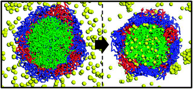 Graphical abstract: Dissipative particle dynamics simulation of multicompartment micelle nanoreactor with channel for reactants