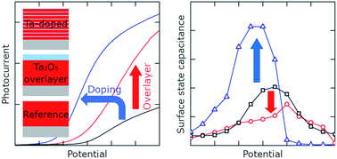 Graphical abstract: Charge carrier dynamics in tantalum oxide overlayered and tantalum doped hematite photoanodes